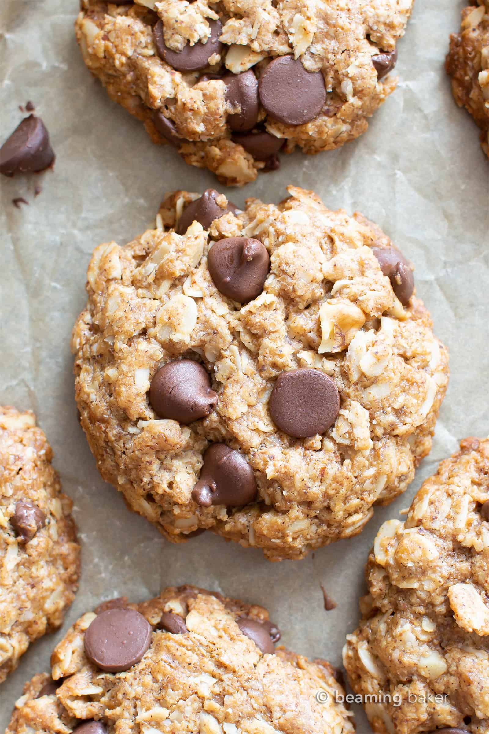 closeup vegan oatmeal chocolate chip cookies on baking sheet