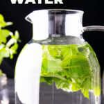 Mint Water Recipe short Pinterest image.